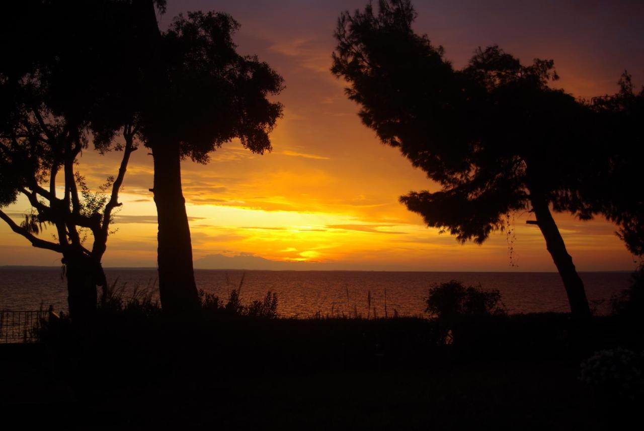 Seafront Studio - Akti Elia Nikiti  Dış mekan fotoğraf