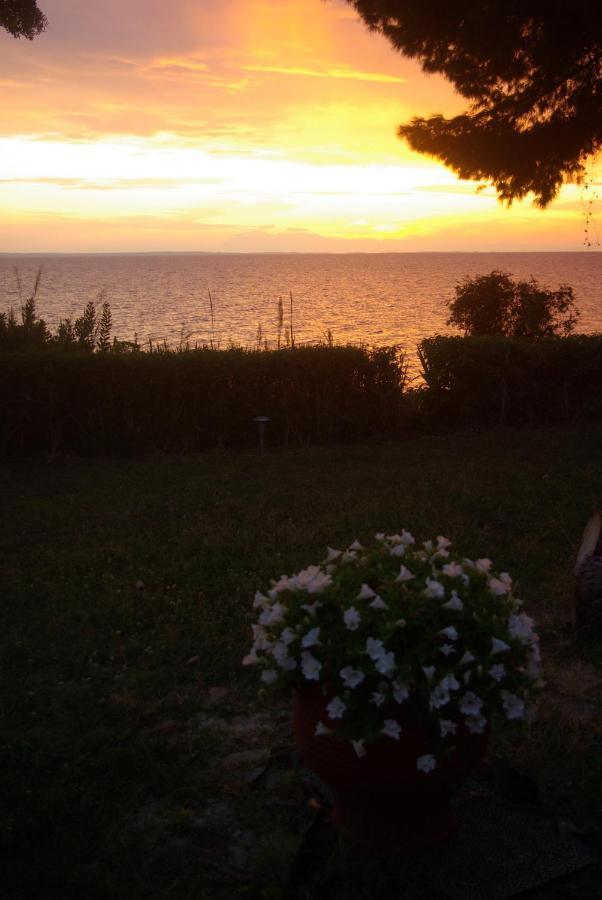 Seafront Studio - Akti Elia Nikiti  Dış mekan fotoğraf